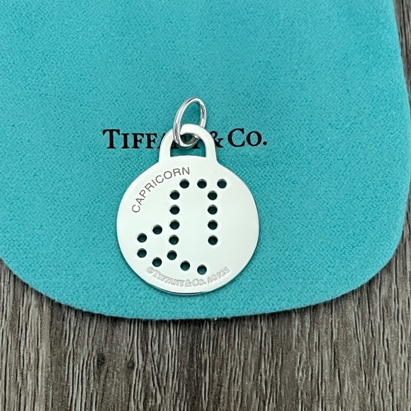 Capricorn zodiac round charm
